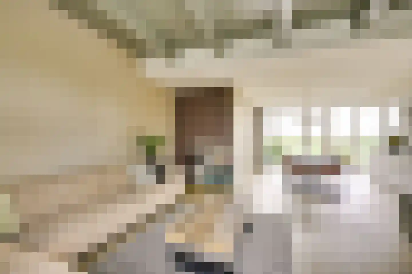 Herenstraat 135 Werkhoven thumbnail 4