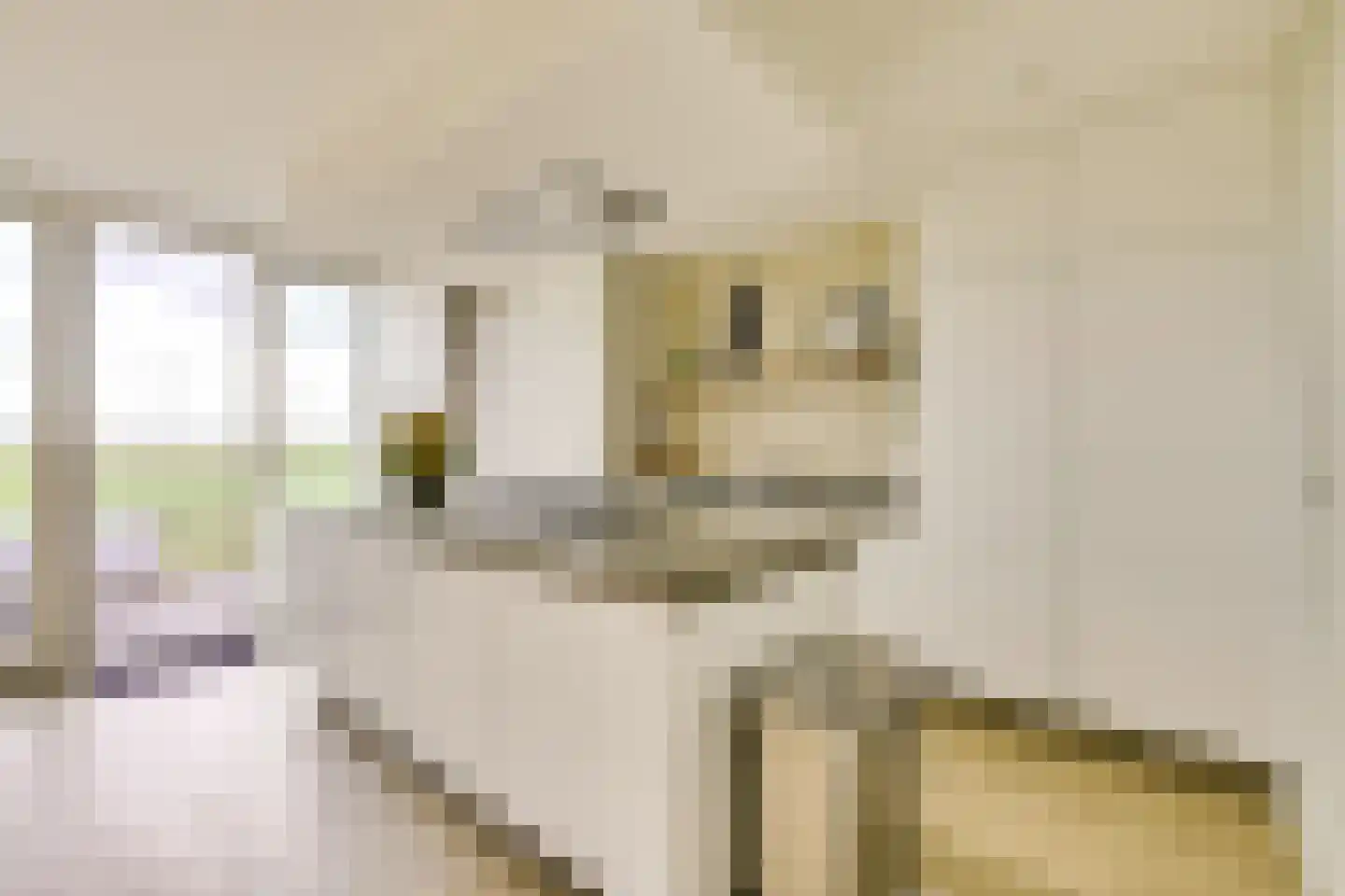 Herenstraat 135 Werkhoven thumbnail 6