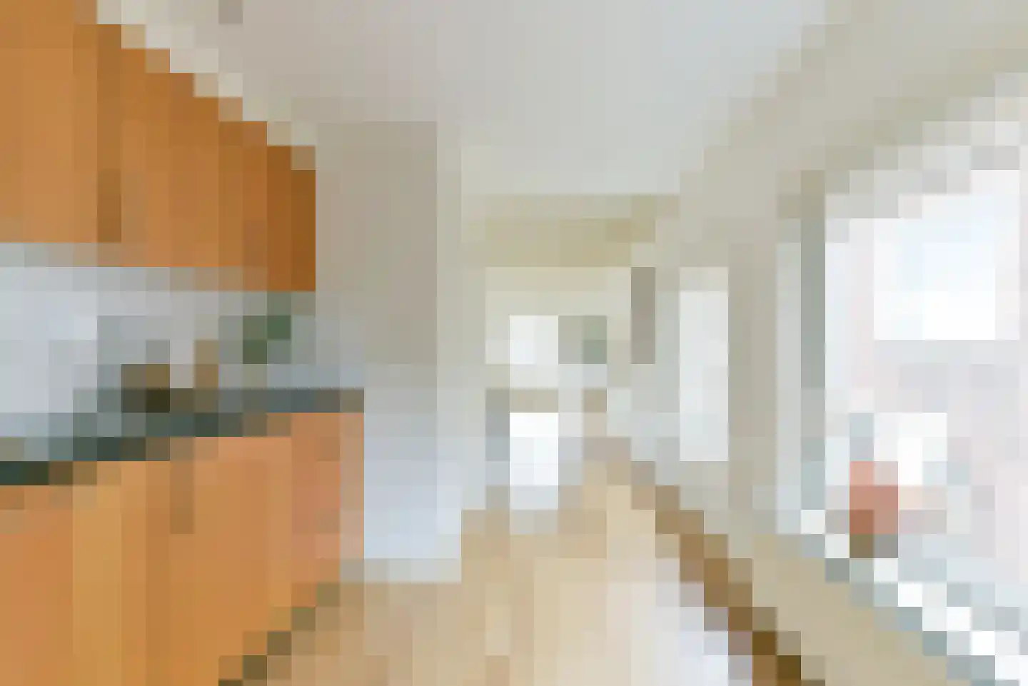 Herenstraat 14 Breukelen thumbnail 14