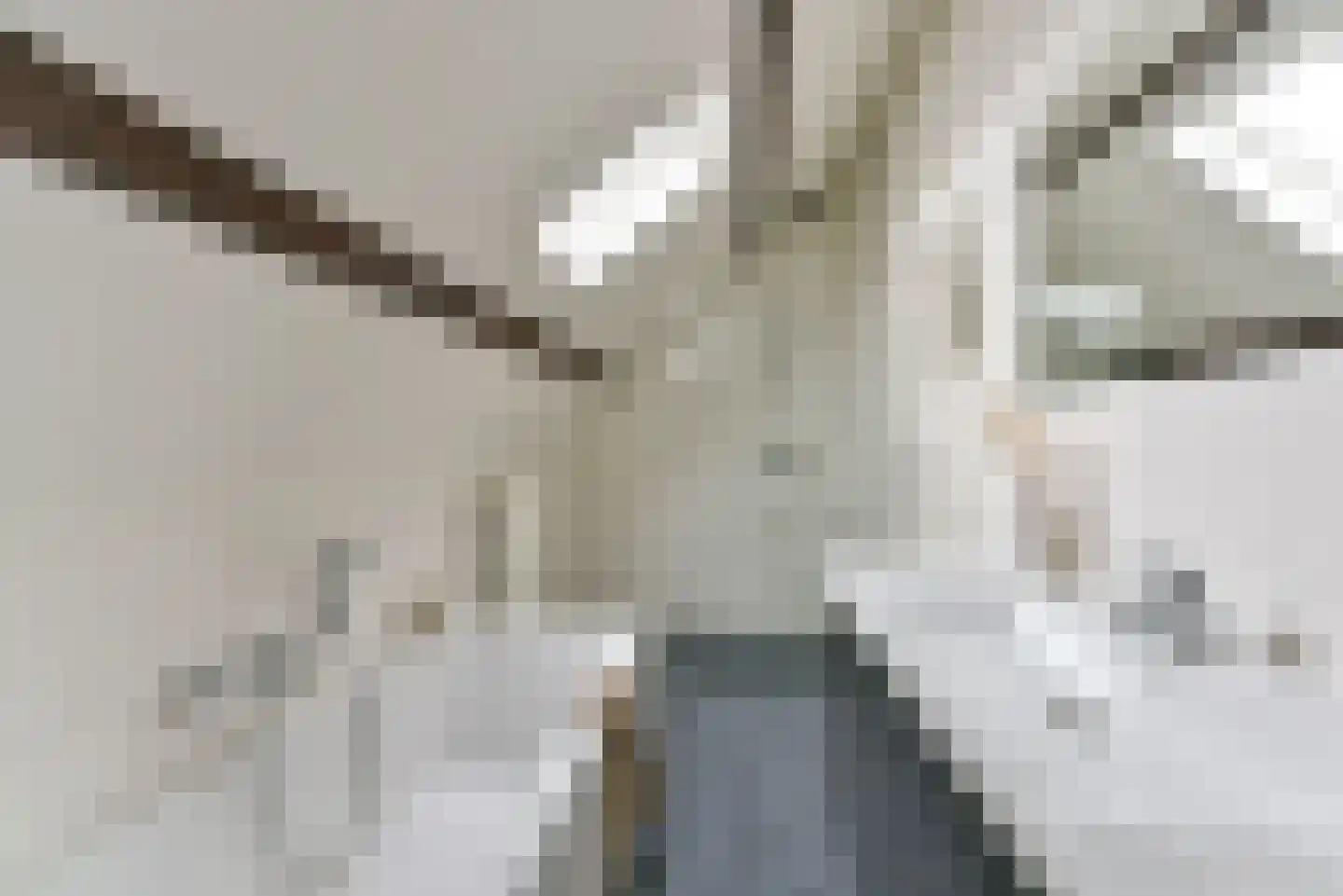 Herenstraat 14 Breukelen thumbnail 32