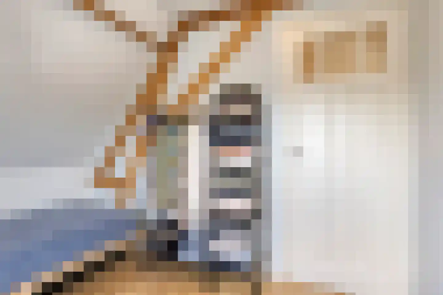 Herenstraat 140 Voorburg thumbnail 33