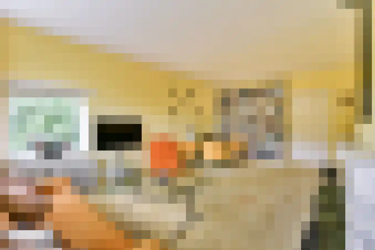 Herenstraat 147 Bussum thumbnail 7