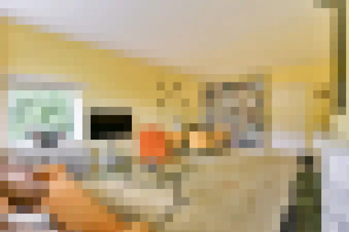 Herenstraat 147 Bussum thumbnail 7