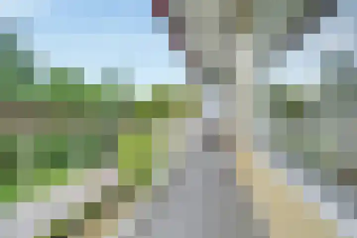 Herenstraat 149 Bussum thumbnail 25