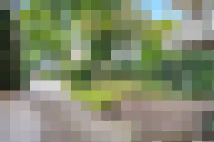 Herenstraat 149 Bussum thumbnail 29