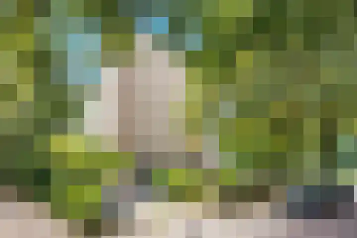 Herenstraat 149 Bussum thumbnail 32