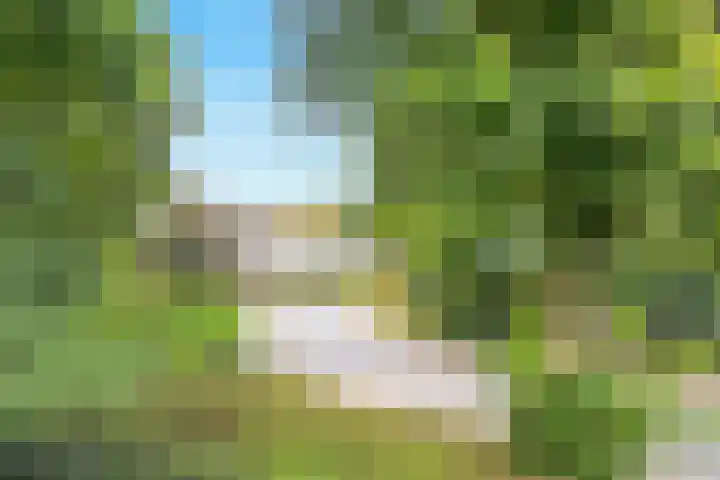 Herenstraat 149 Bussum thumbnail 37