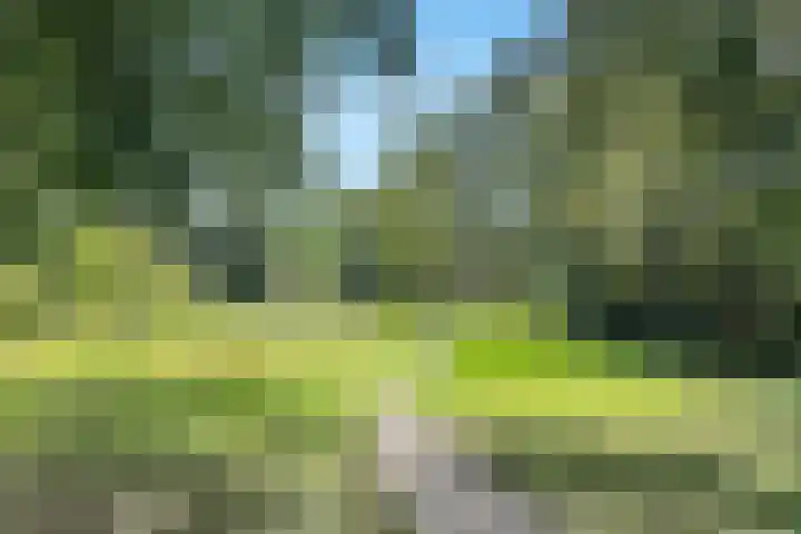 Herenstraat 149 Bussum thumbnail 39