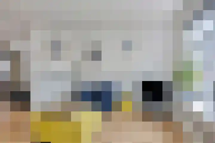 Herenstraat 15 Sappemeer thumbnail 12