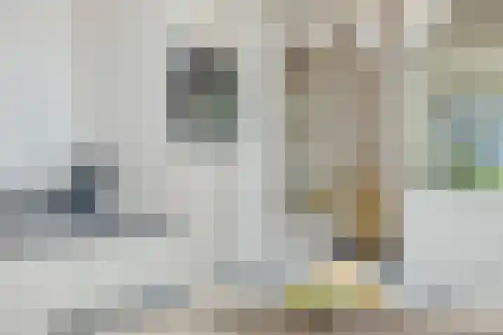Herenstraat 15 Sappemeer thumbnail 22