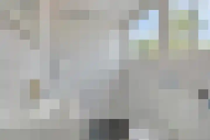 Herenstraat 15 Sappemeer thumbnail 27