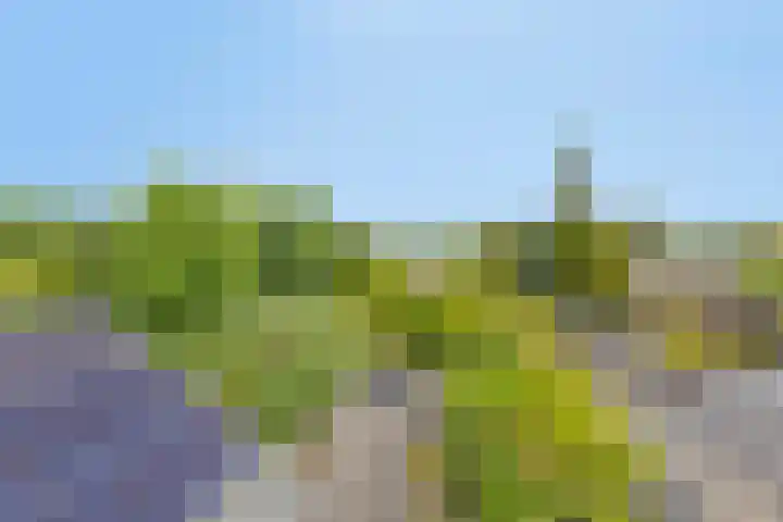 Herenstraat 15 Sappemeer thumbnail 36
