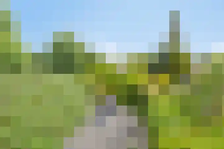 Herenstraat 15 Sappemeer thumbnail 37