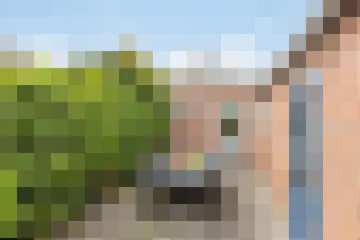 Herenstraat 15 Sappemeer thumbnail 39