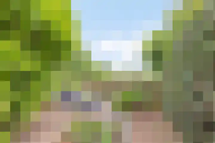 Herenstraat 15 Sappemeer thumbnail 4