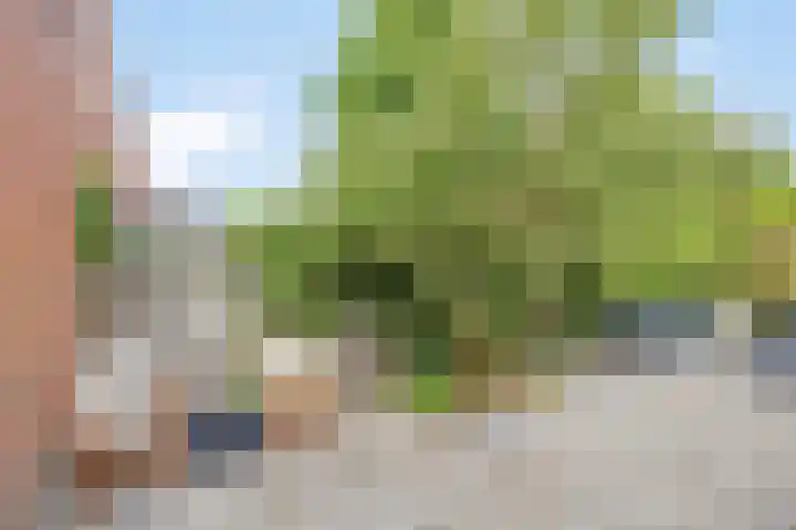 Herenstraat 15 Sappemeer thumbnail 41