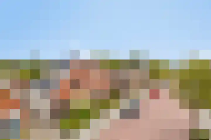 Herenstraat 15 Sappemeer thumbnail 6