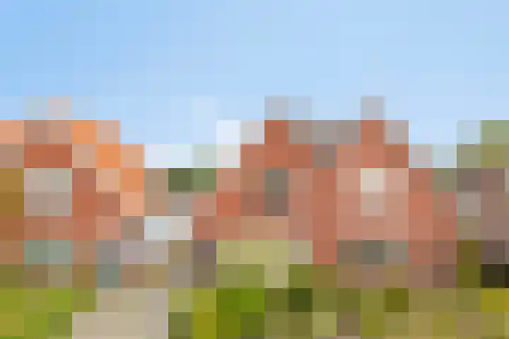 Herenstraat 15 Sappemeer thumbnail 9