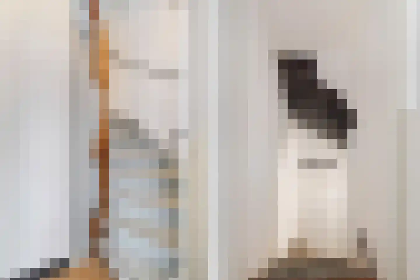 Herenstraat 15 Utrecht thumbnail 7