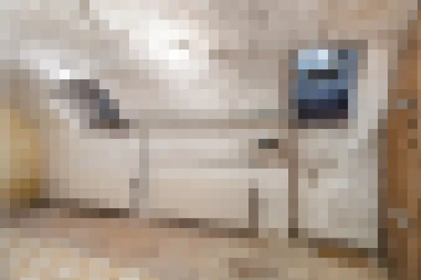 Herenstraat 15 Utrecht thumbnail 10