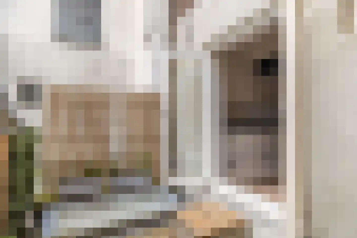 Herenstraat 15 Utrecht thumbnail 19
