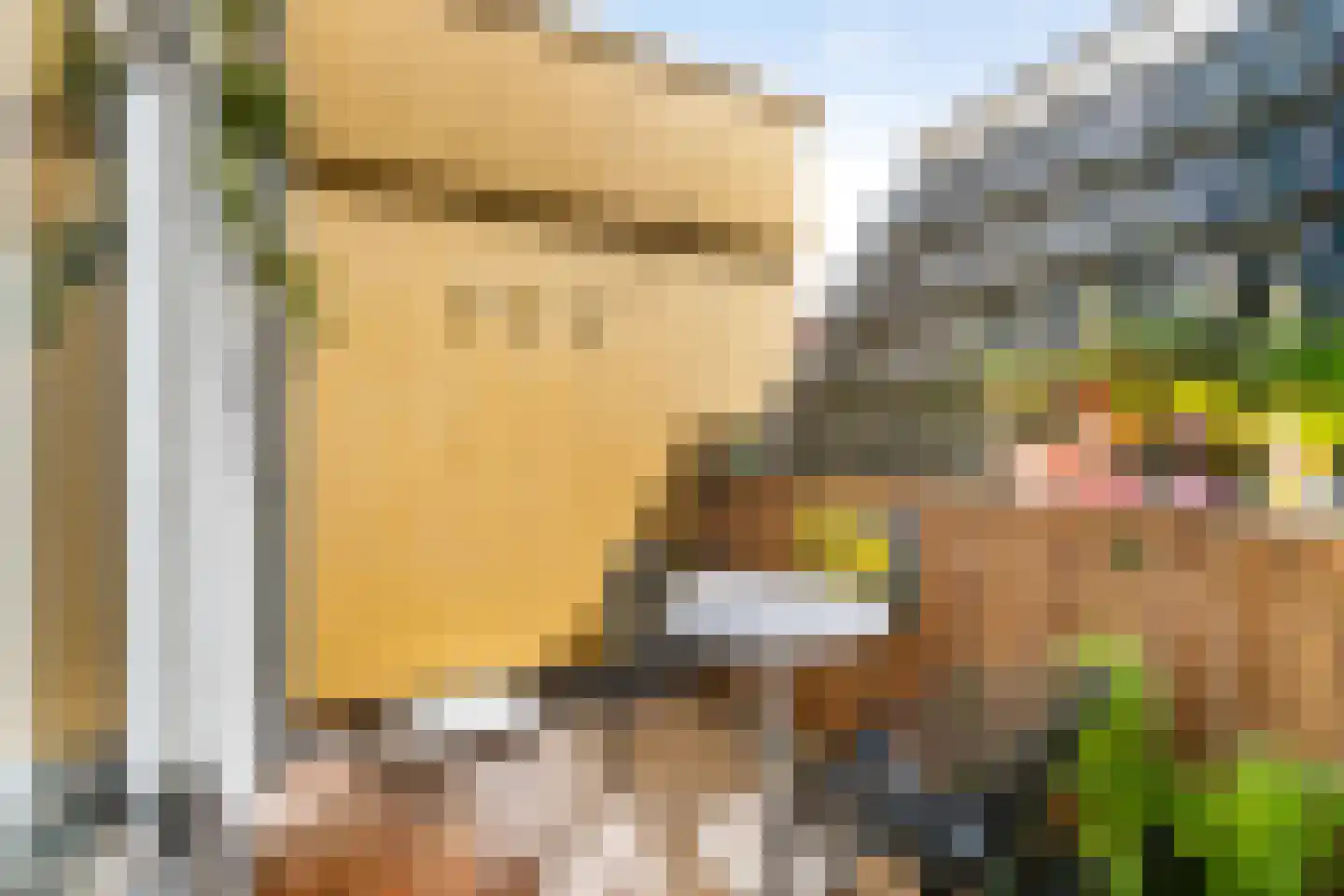 Herenstraat 15 Utrecht thumbnail 23