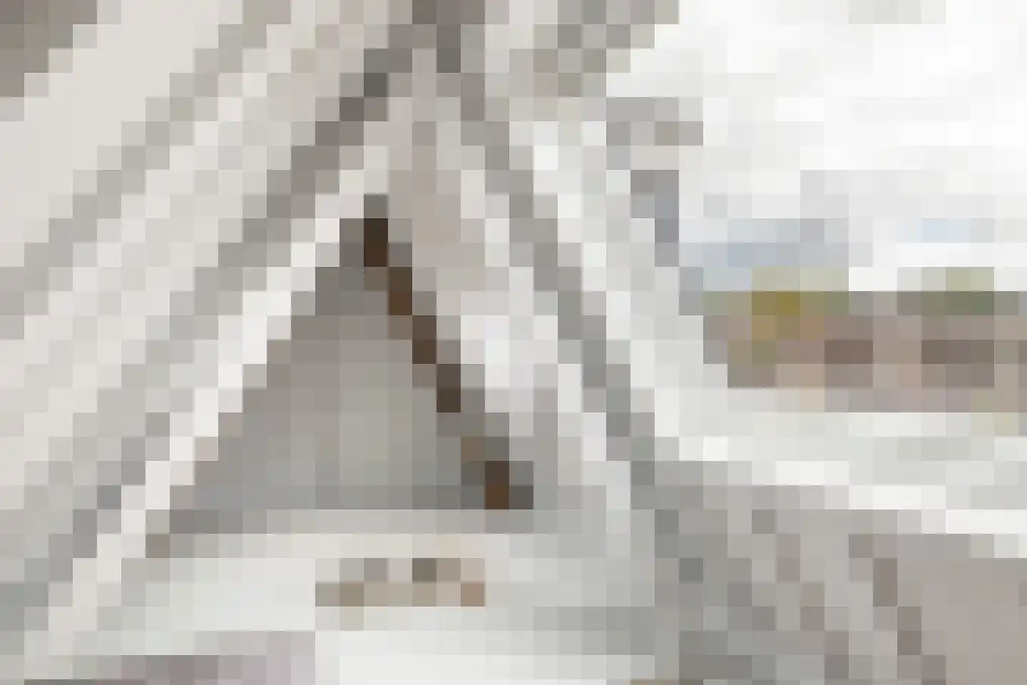 Herenstraat 15 Utrecht thumbnail 29