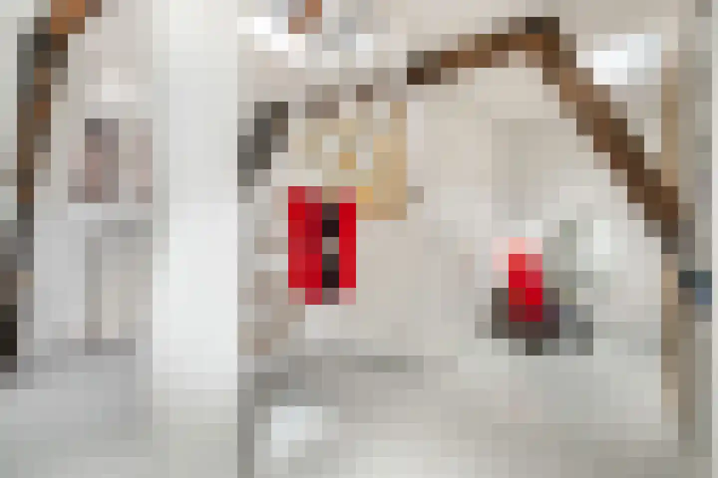 Herenstraat 15 Utrecht thumbnail 37