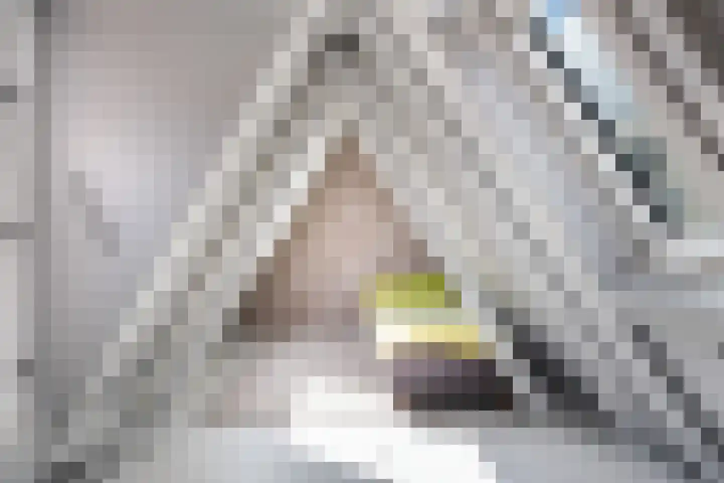 Herenstraat 15 Utrecht thumbnail 41