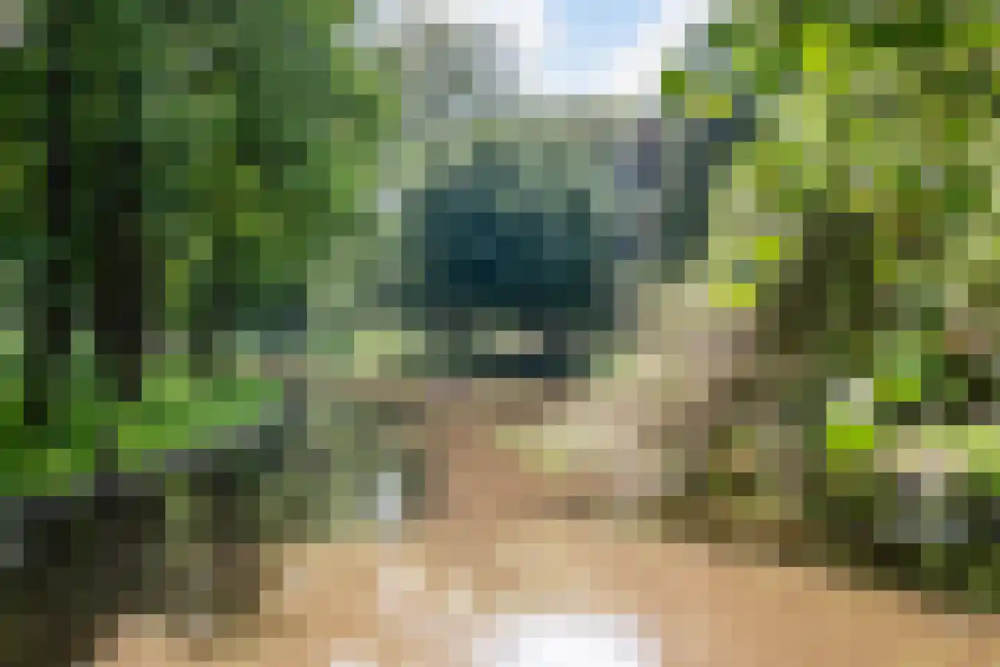Herenstraat 15 Utrecht thumbnail 38