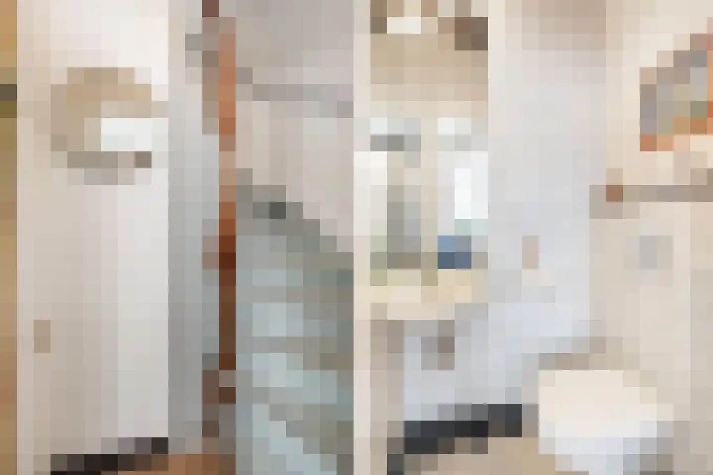 Herenstraat 15 Utrecht thumbnail 8