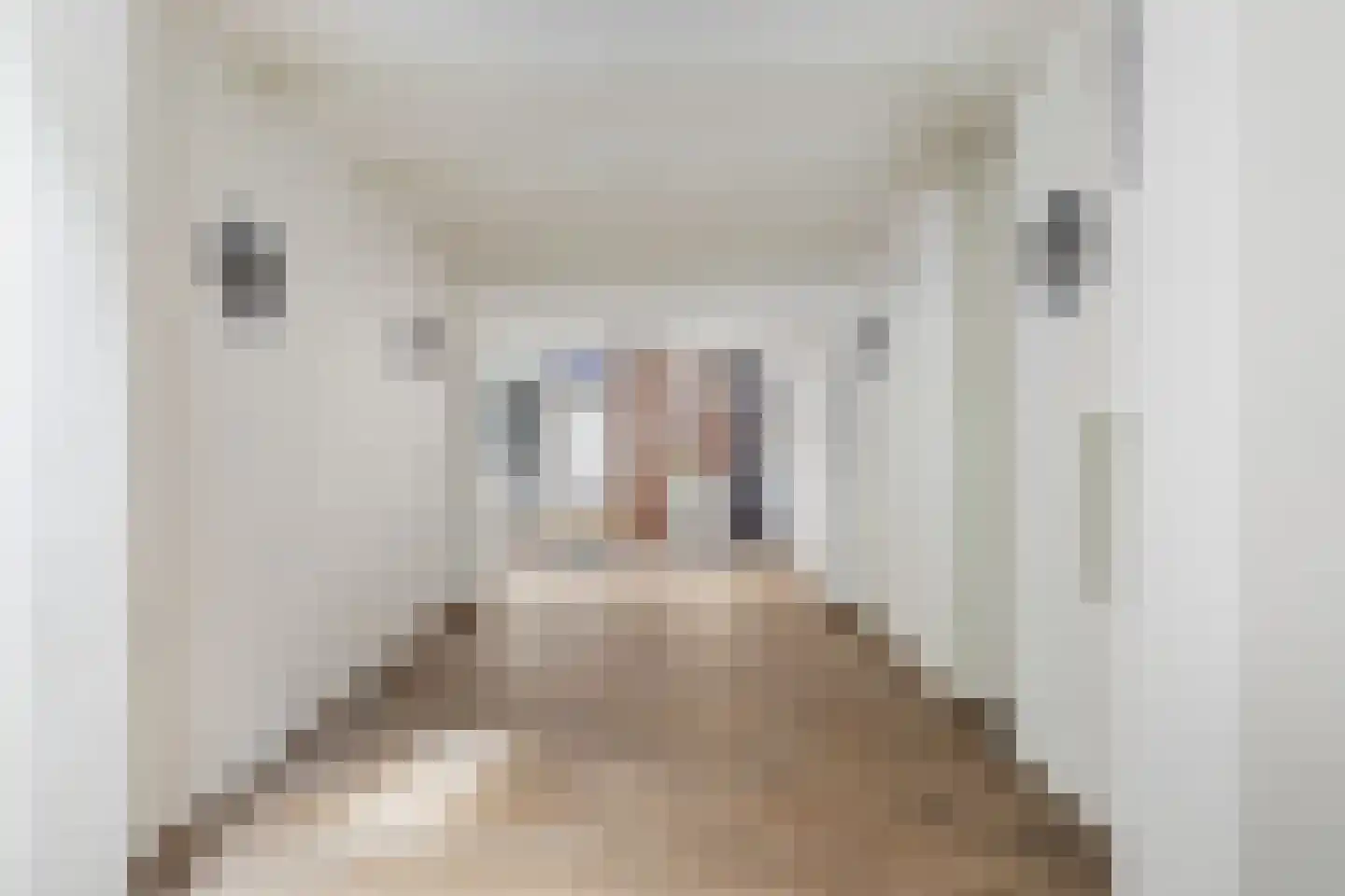 Herenstraat 15 Utrecht thumbnail 6