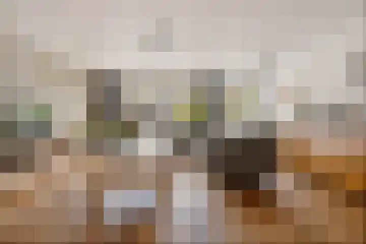 Herenstraat 16 Sappemeer thumbnail 10