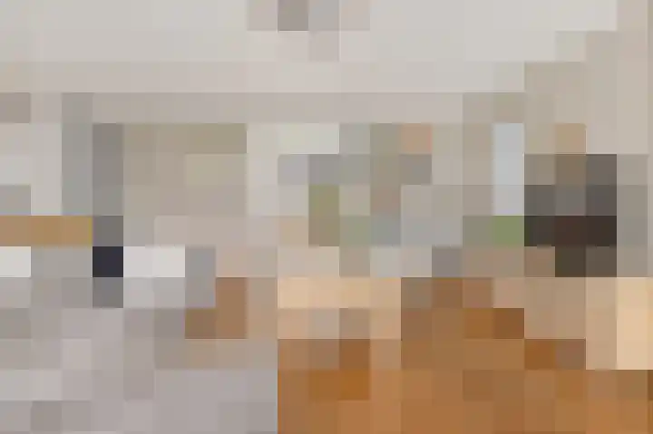 Herenstraat 16 Sappemeer thumbnail 12