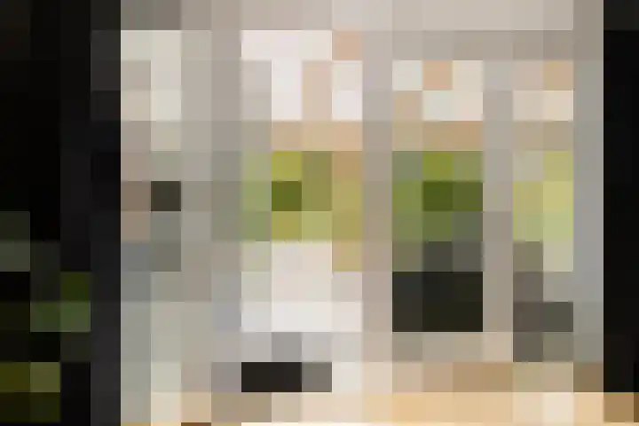 Herenstraat 16 Sappemeer thumbnail 13