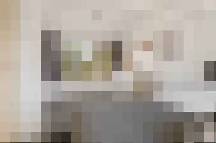 Herenstraat 16 Sappemeer thumbnail 19