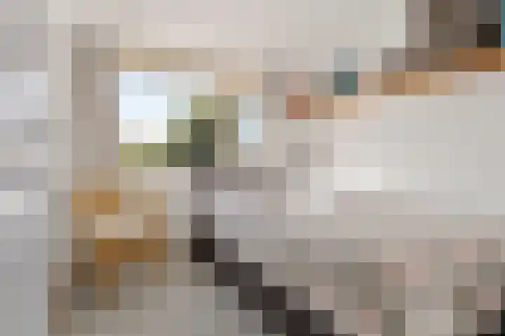 Herenstraat 16 Sappemeer thumbnail 20