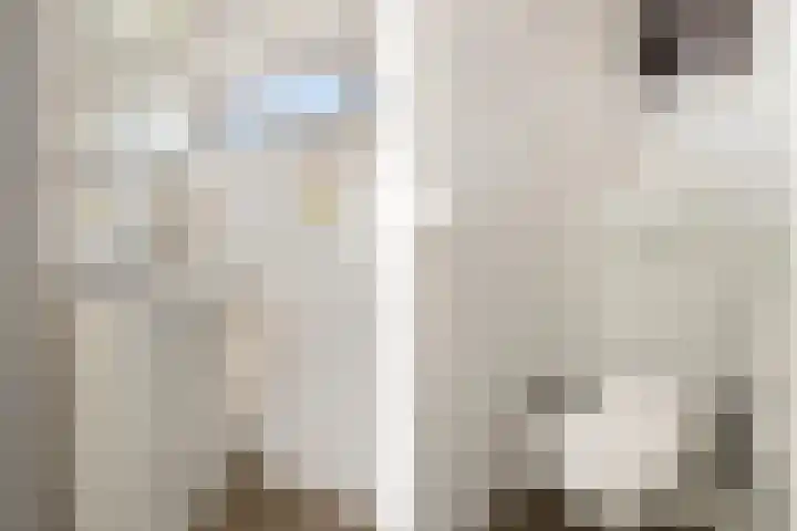 Herenstraat 16 Sappemeer thumbnail 21