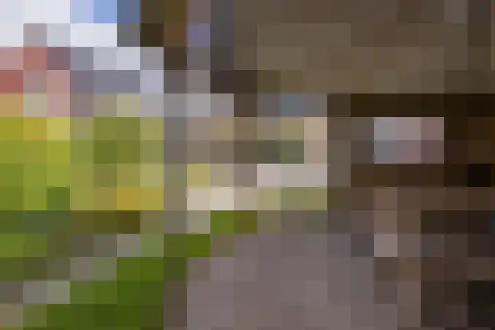 Herenstraat 16 Sappemeer thumbnail 26