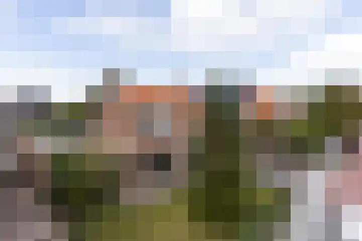 Herenstraat 16 Sappemeer thumbnail 29