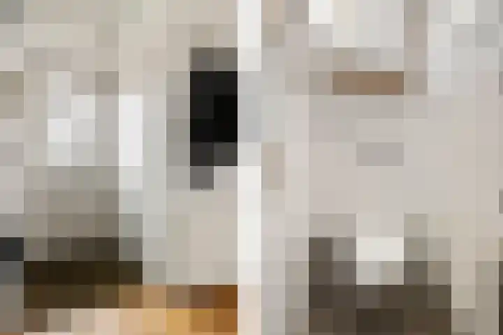 Herenstraat 16 Sappemeer thumbnail 5