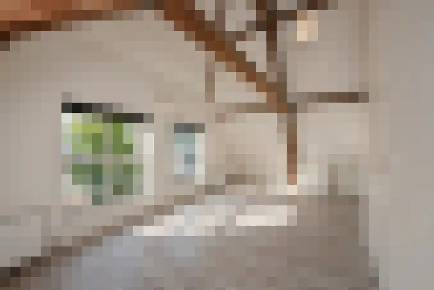 Herenstraat 169 B Voorburg thumbnail 14