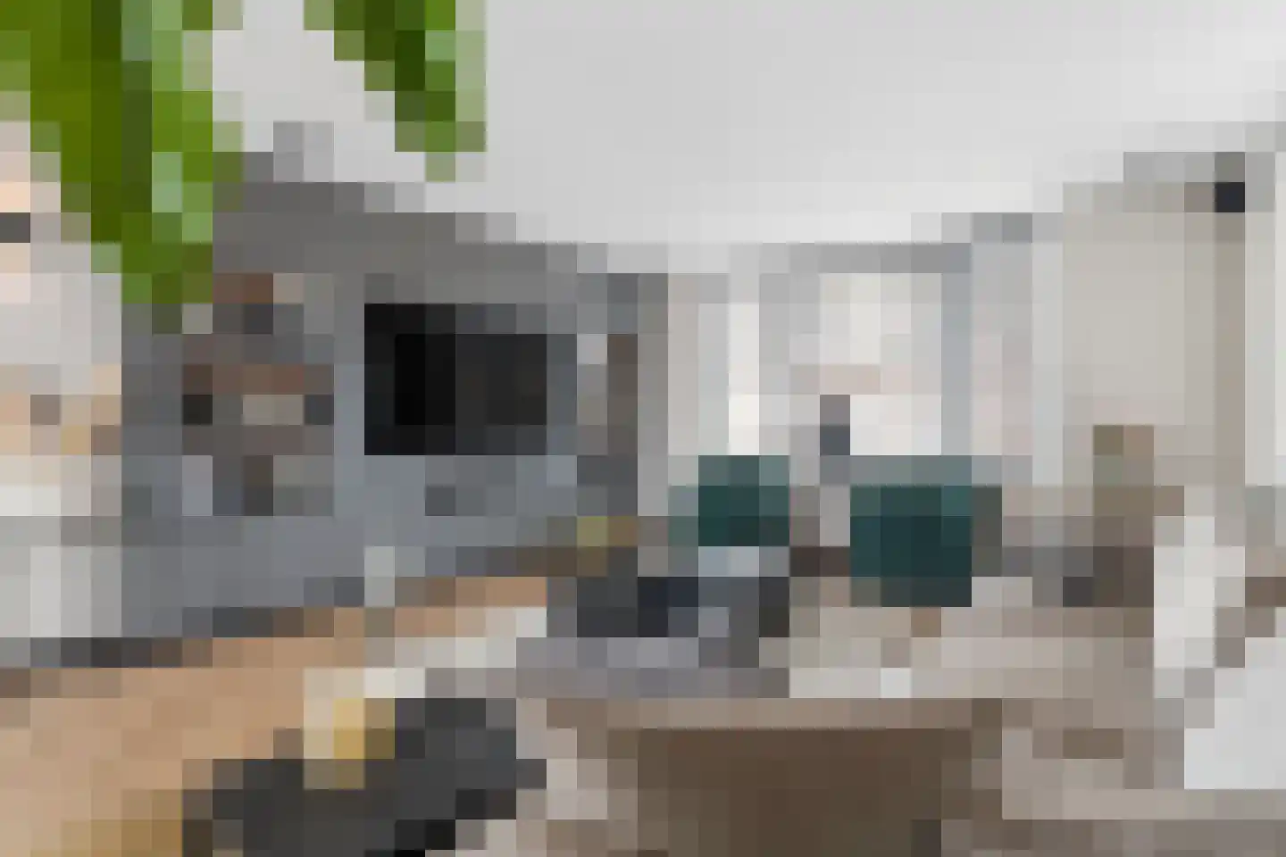 Herenstraat 24 Rhenen thumbnail 12