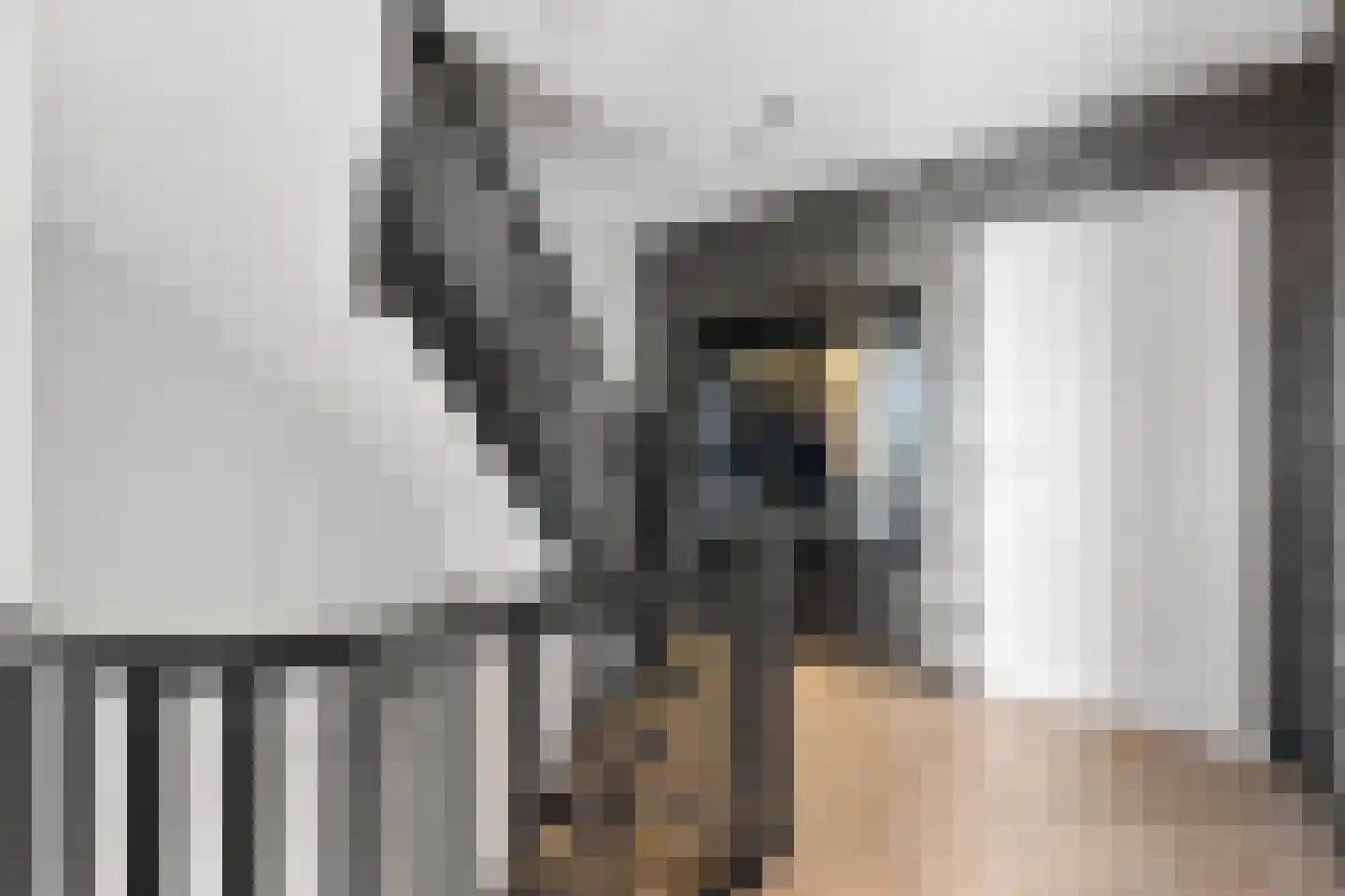 Herenstraat 24 Rhenen thumbnail 43