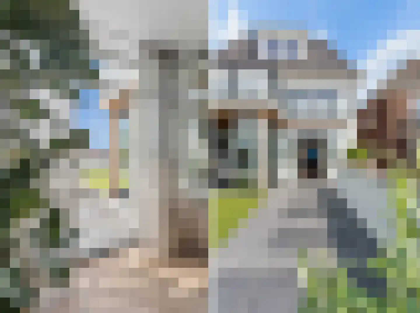Herenstraat 24 Rhenen thumbnail 49