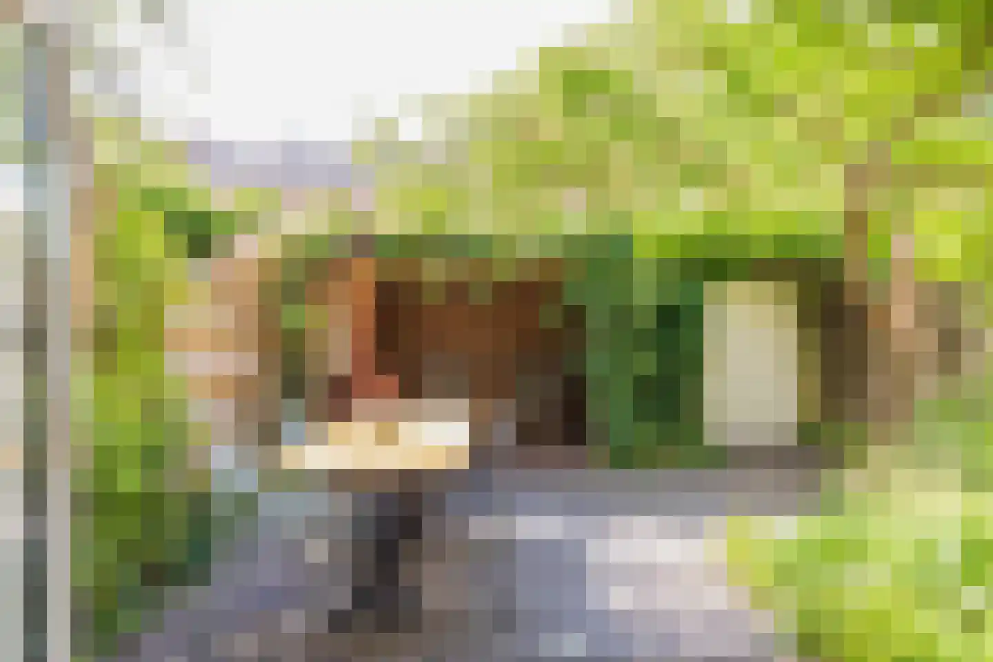 Herenstraat 25 Weesp thumbnail 10
