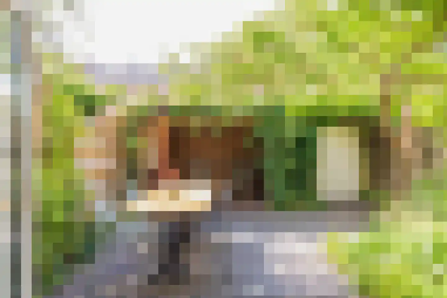 Herenstraat 25 Weesp thumbnail 10