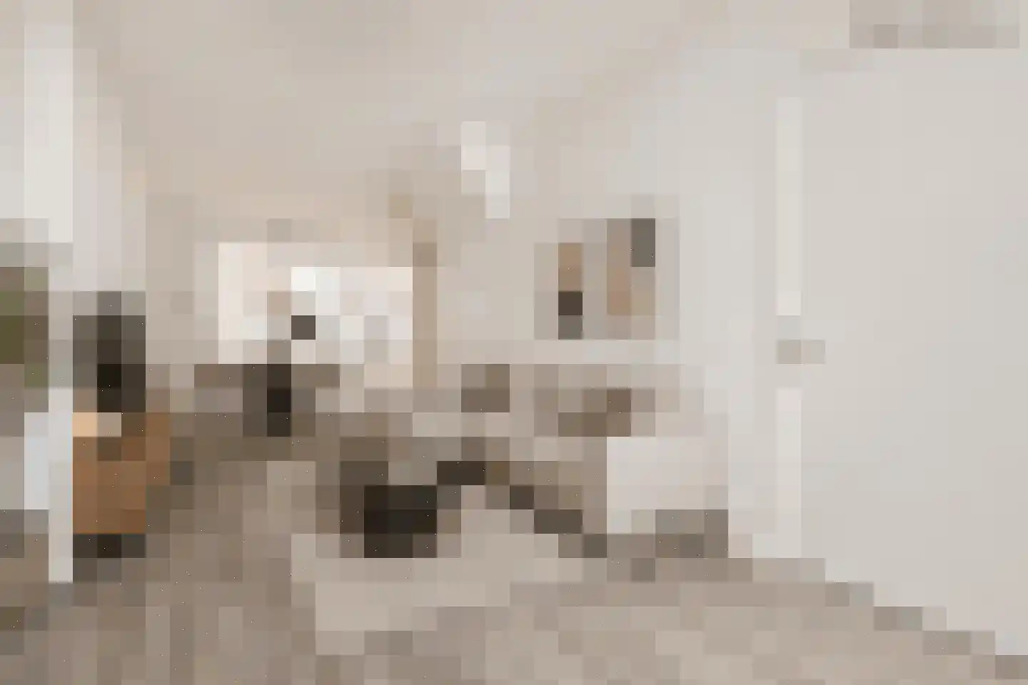 Herenstraat 27 Leiden thumbnail 9