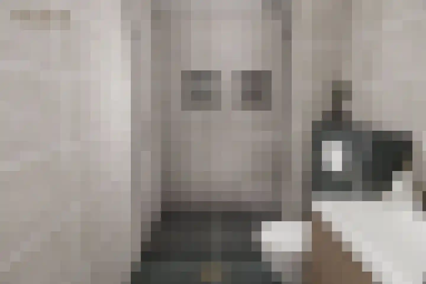 Herenstraat 28 Monster thumbnail 17