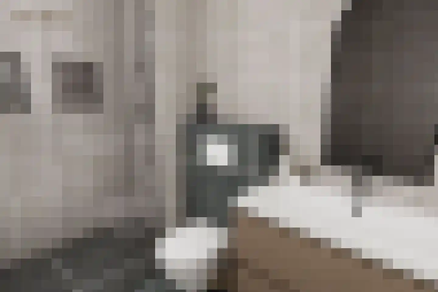 Herenstraat 28 Monster thumbnail 18